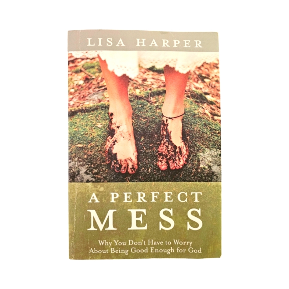 A Perfect Mess book